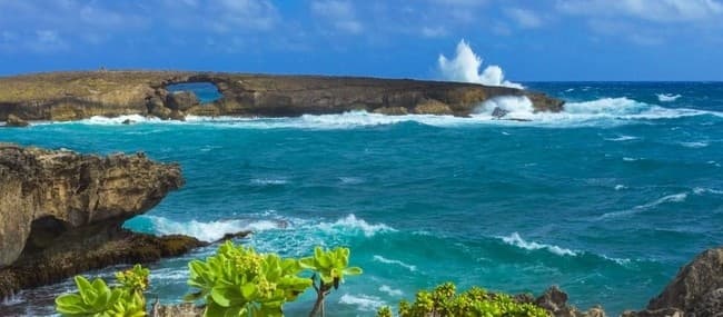 15A - 1/2 Day ECO Tour: Oahu Grand Circle Island, Dole Plantation, and Macadamia Farms