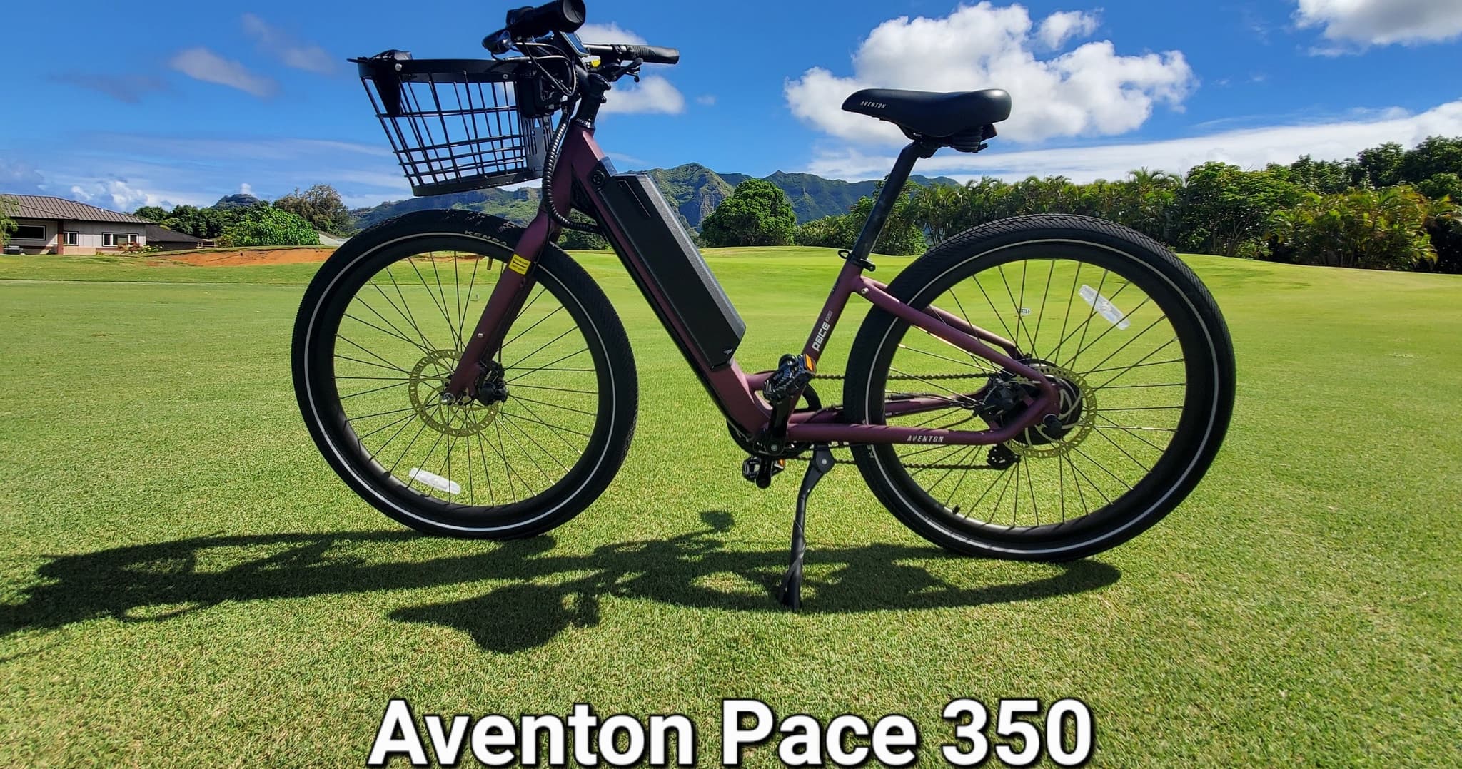 Four Hour Ebike Rental