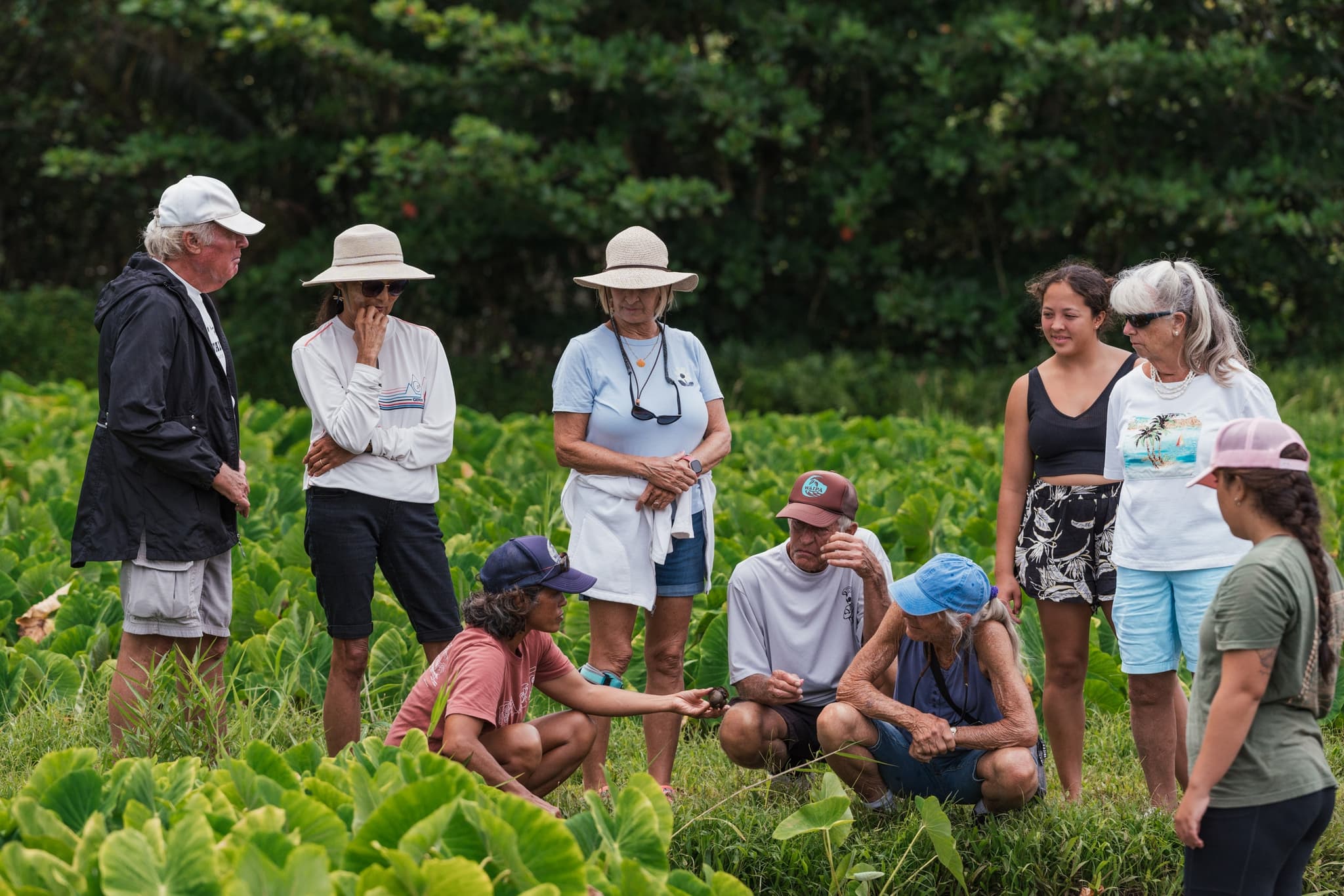 WEDNESDAYS | Introduction to the Ahupua’a, it’s Food Systems and Waterways