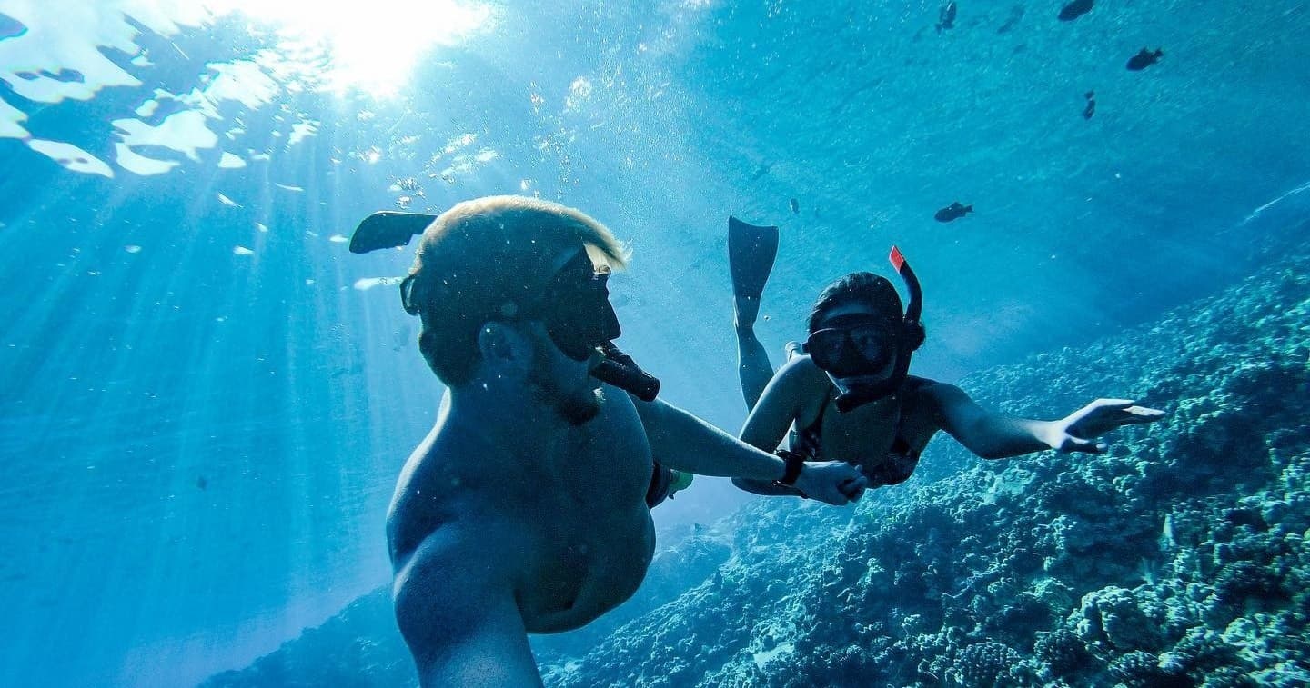 2n1 Semi-Private Eco-Raft 4 Hour Snorkel & Whale Watch