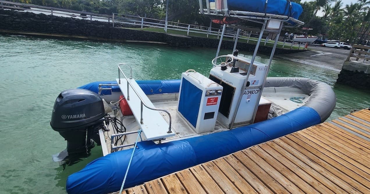 Small Group Snorkel & Dolphin Charter | Departs from Keauhou Bay