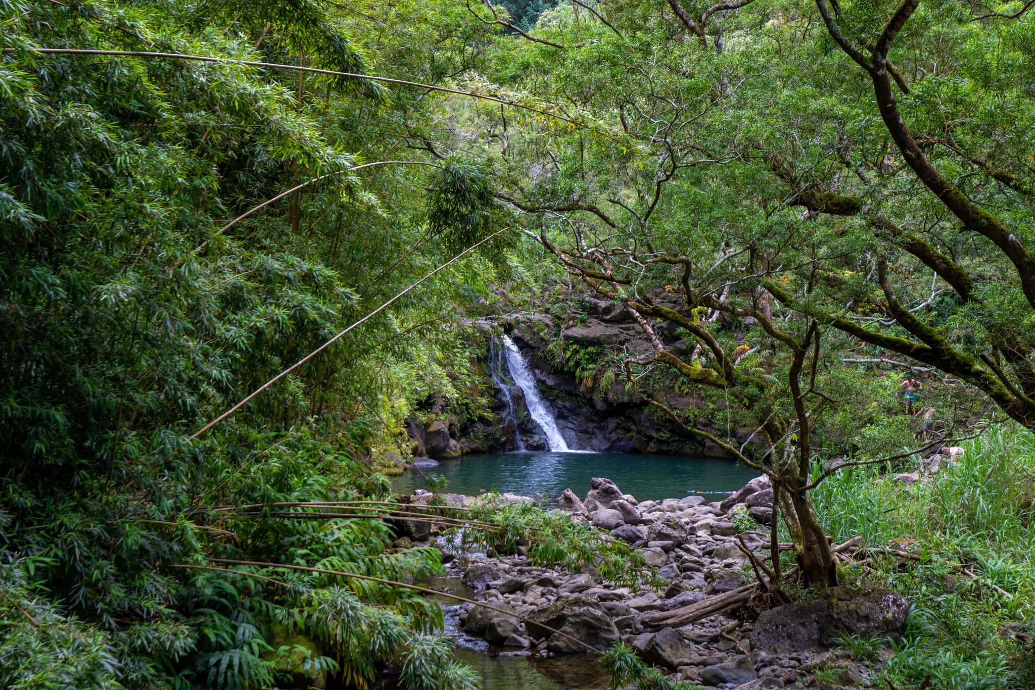 Hana & Back Adventure Tour: Luxury Expedition