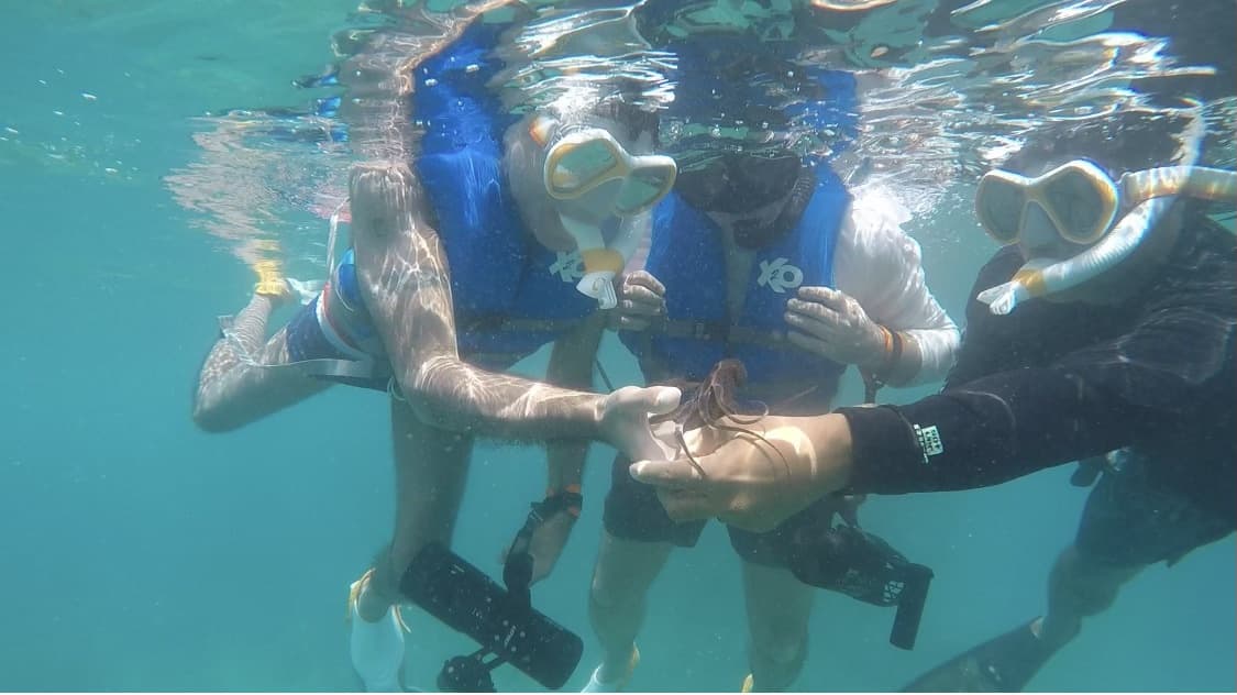 Jet Snorkel Tour (Small Group)