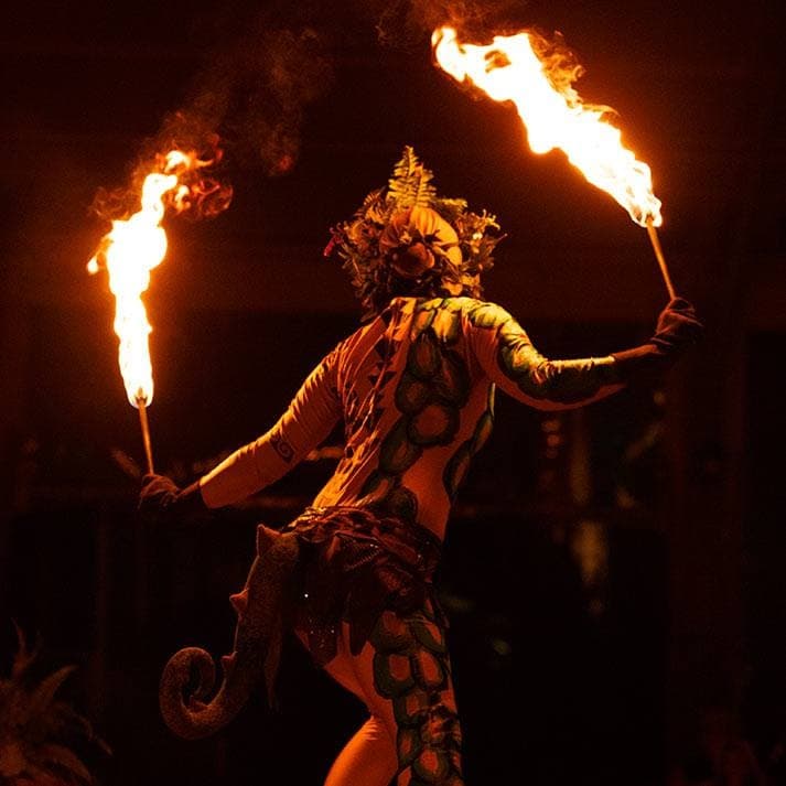 Hawaiian Package with Round-Trip Transportation