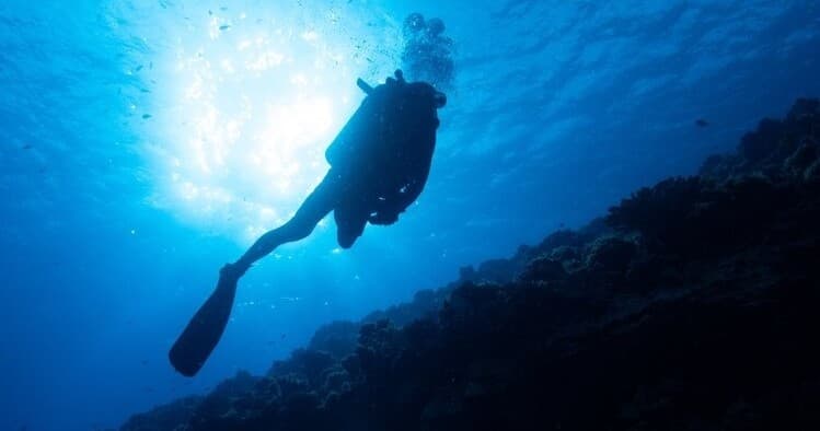 Discover Scuba Diving (Intro Shore dive)