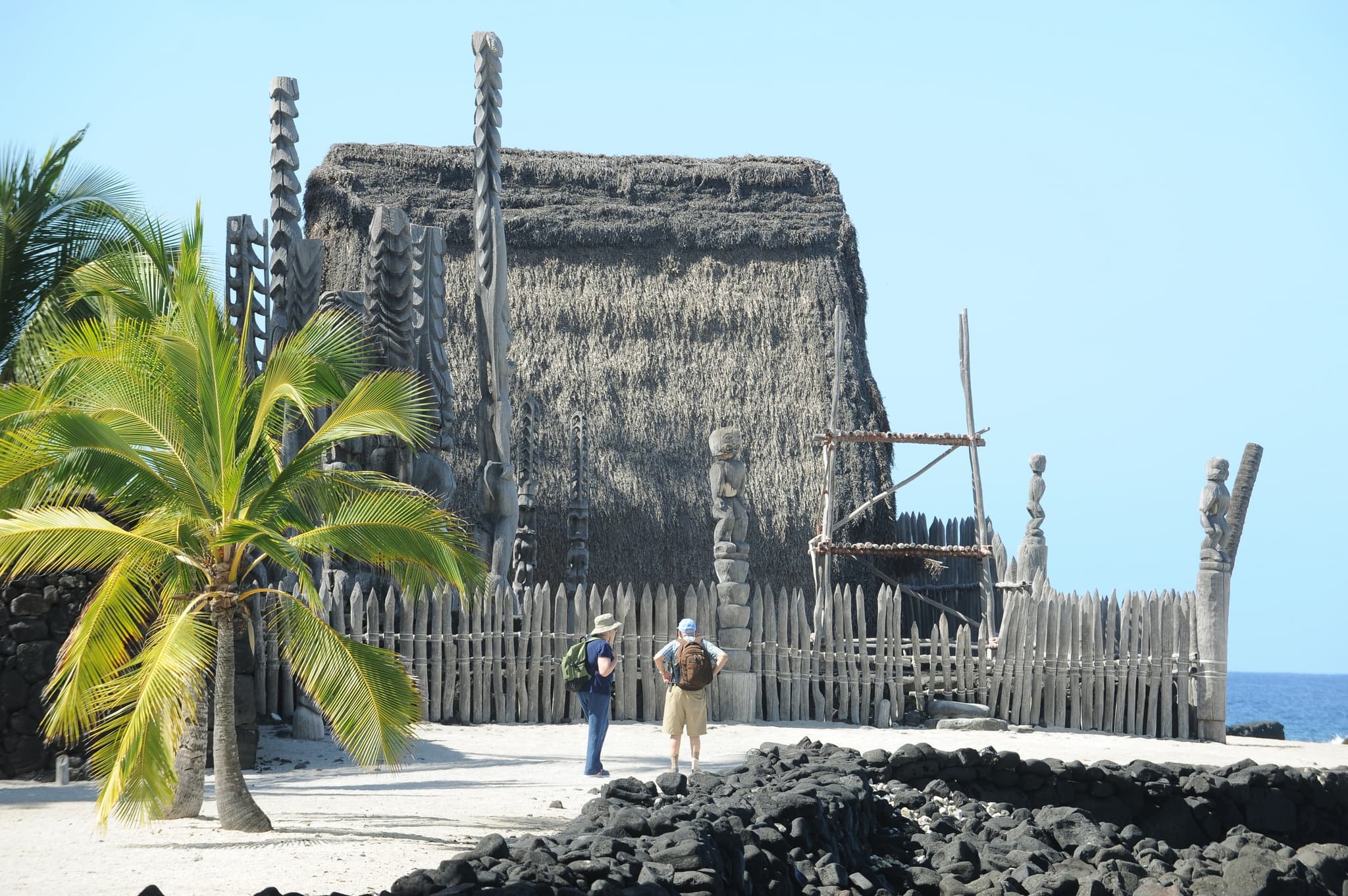 South Kona Tour: A Journey Through History and Natural Beauty