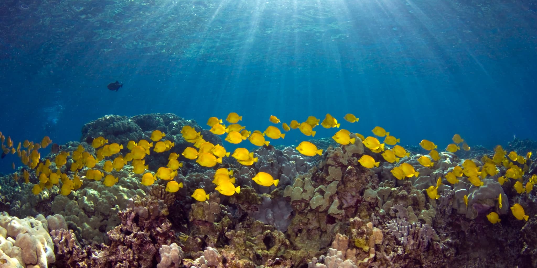 10 passengers max Private Charters