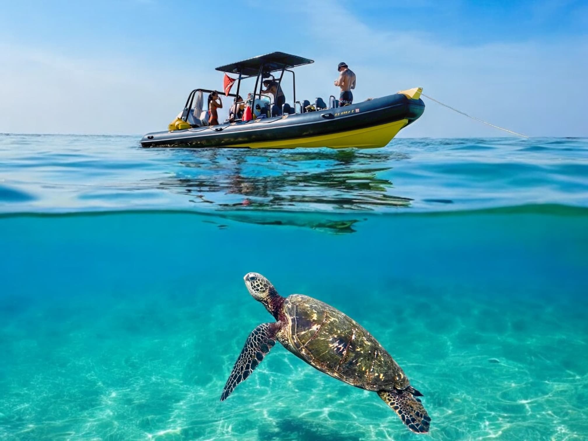 Turtle Canyon Snorkel Adventure (Semi-Private)