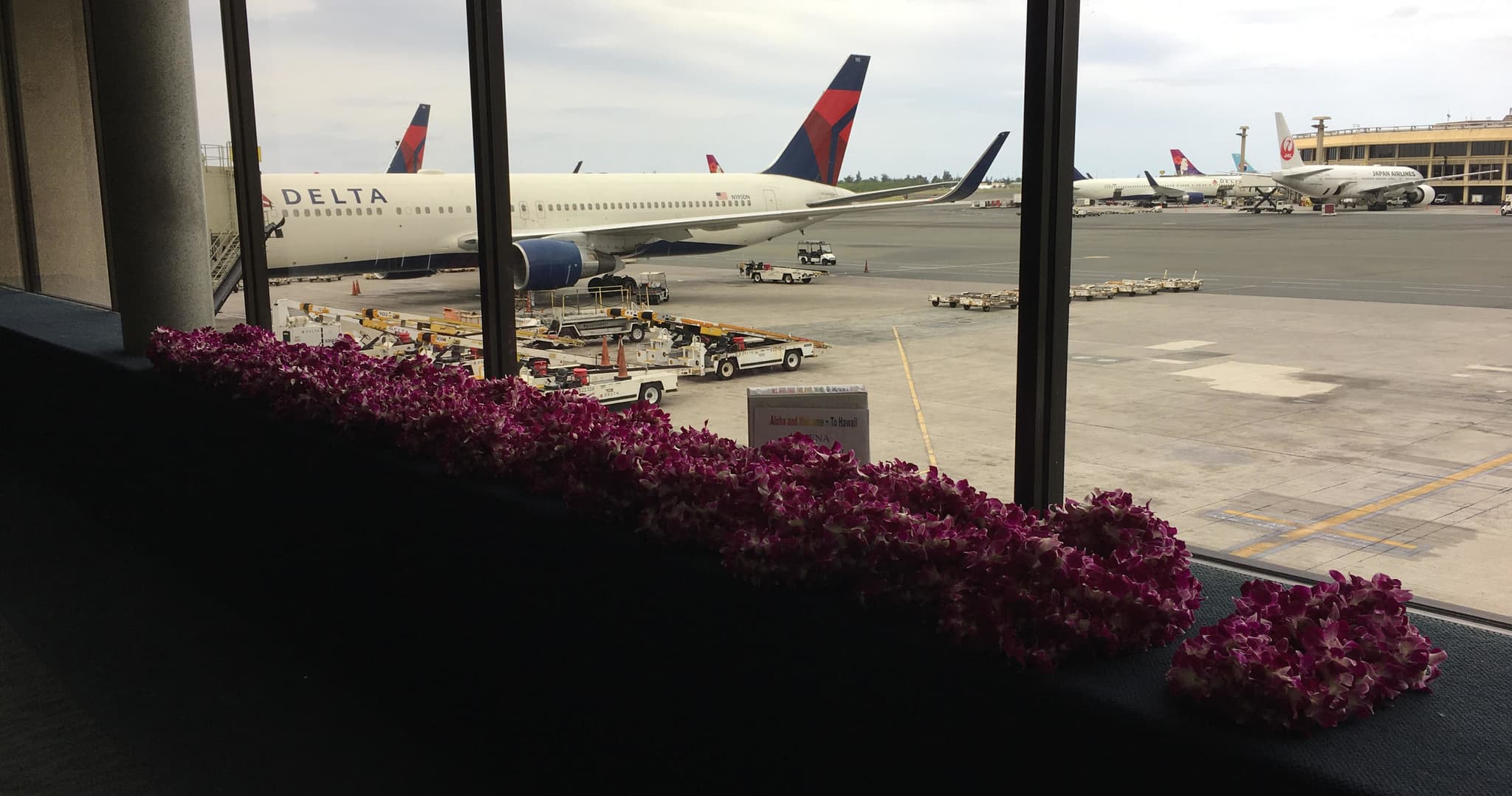 Airlines ~ Arrivals & Departures