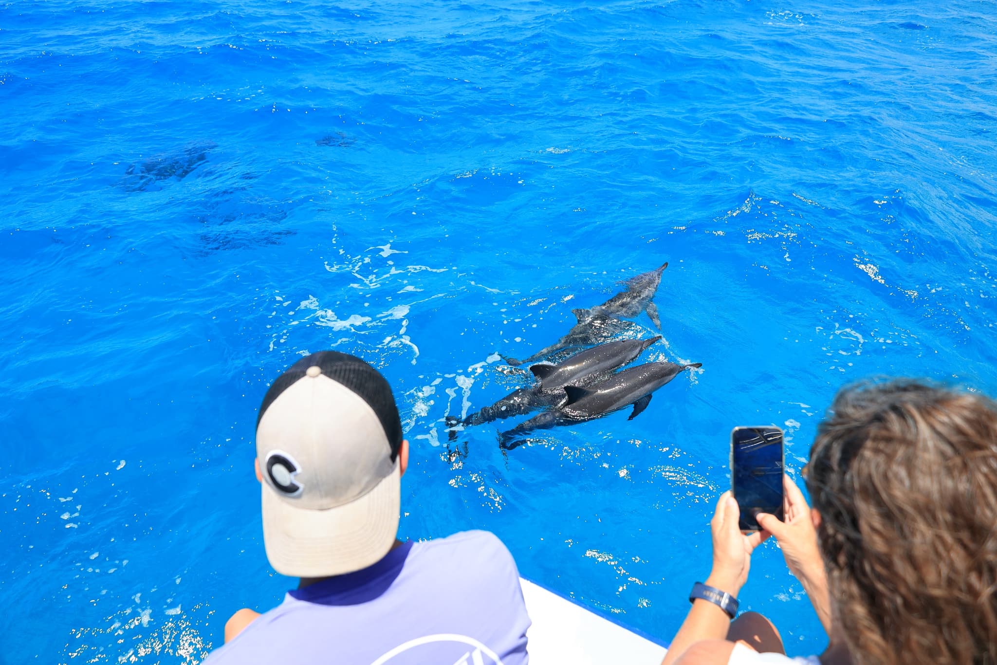 Kona: 2-Hour Afternoon Snorkel & Dolphin Watching