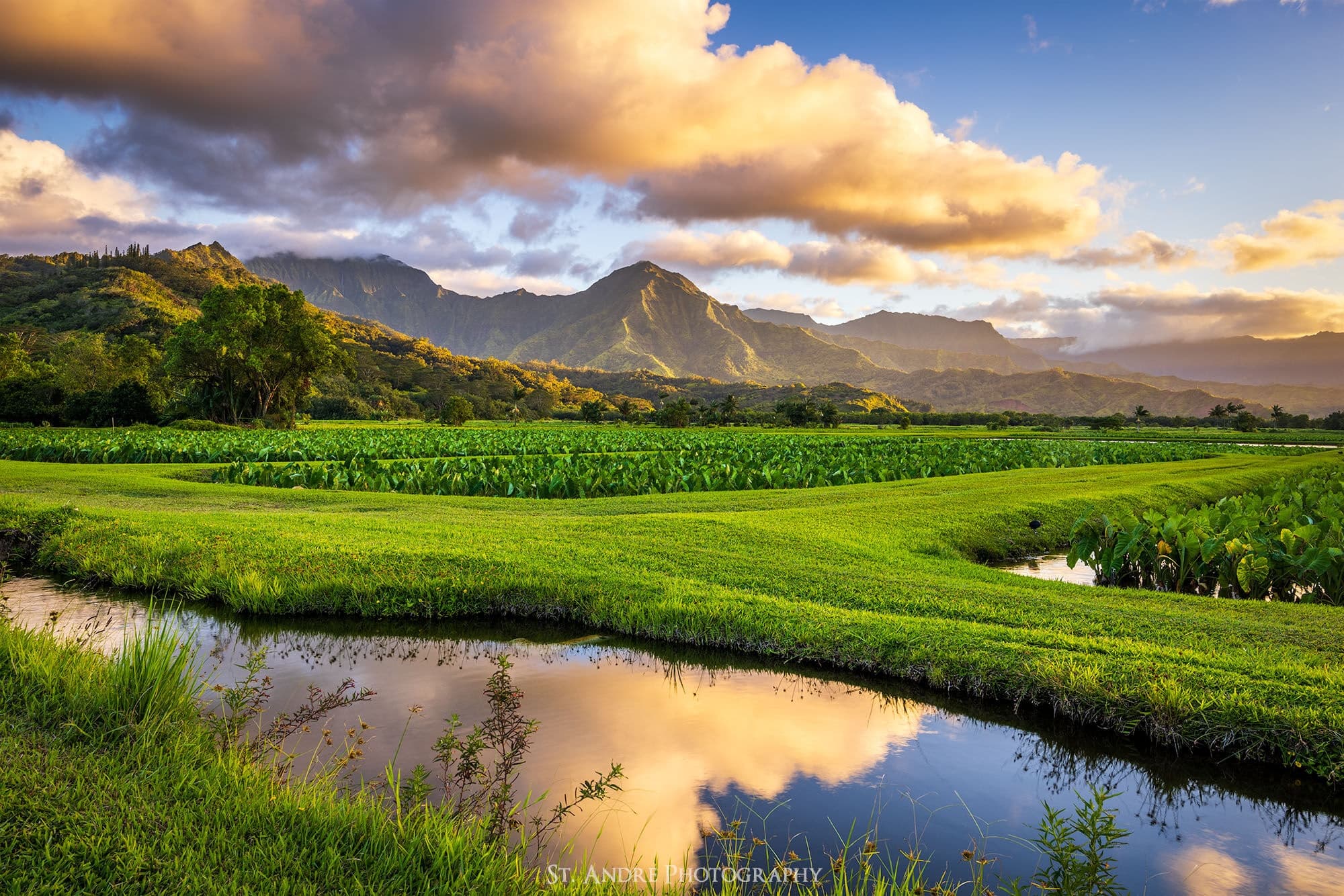 Hanalei Reserve Excursion
