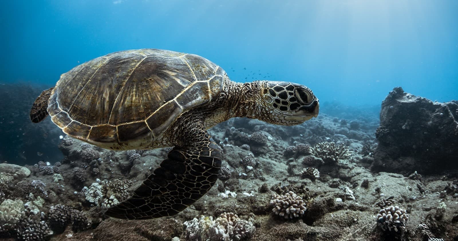 3 Hour Private Custom Charter