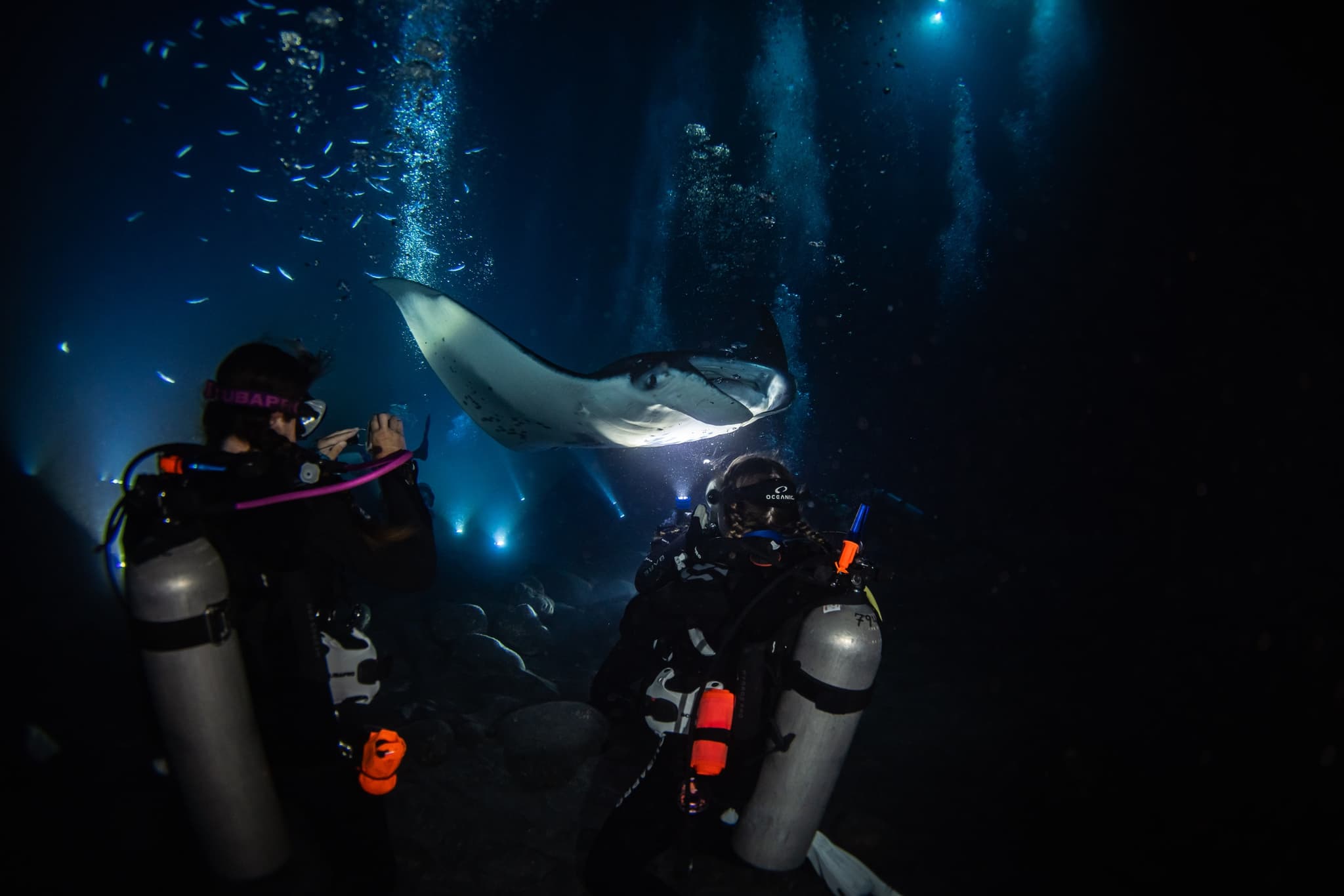 The Twilight Reef & Kona Manta Ray Experience: Two Tank Charter