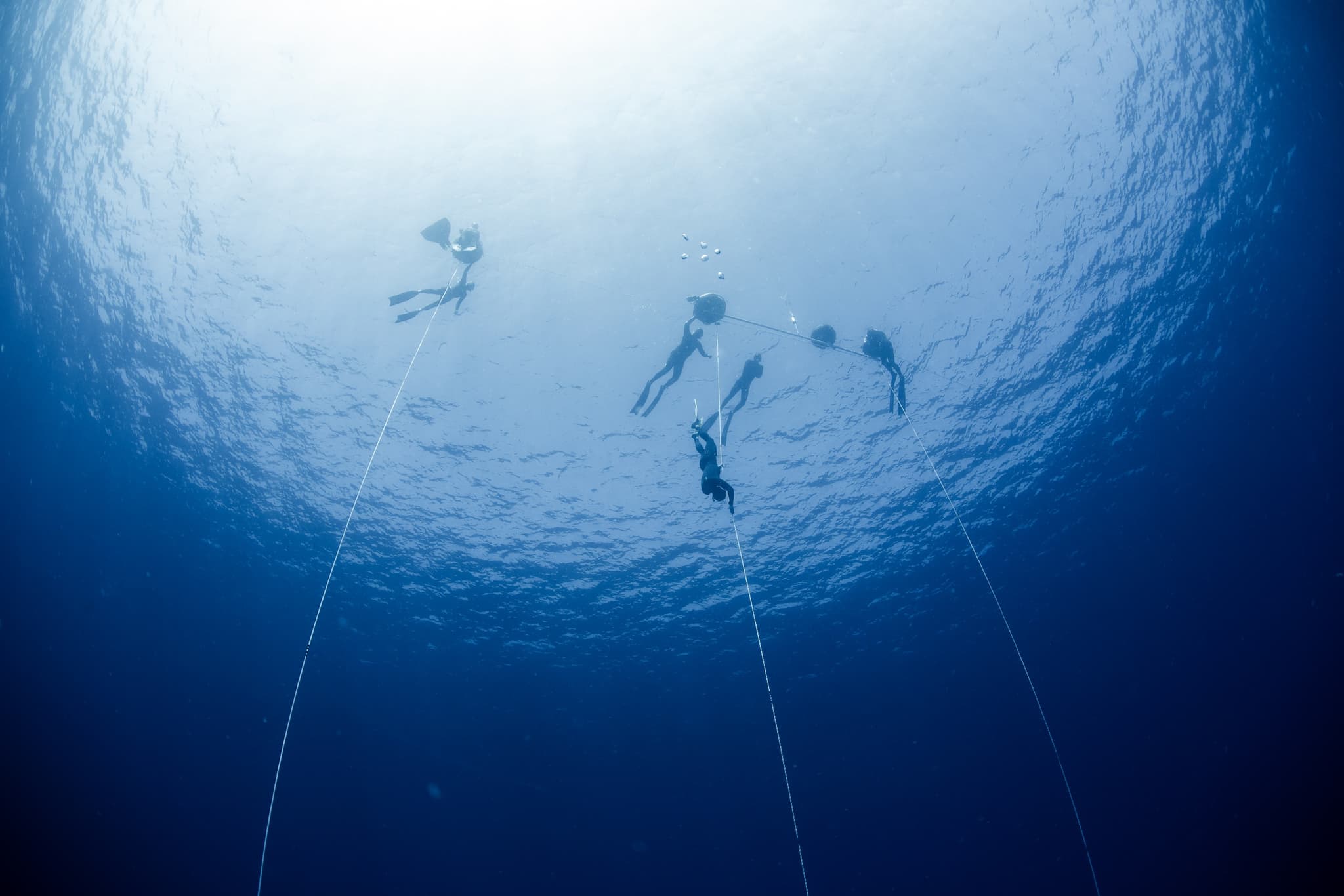 Freediving Expedition