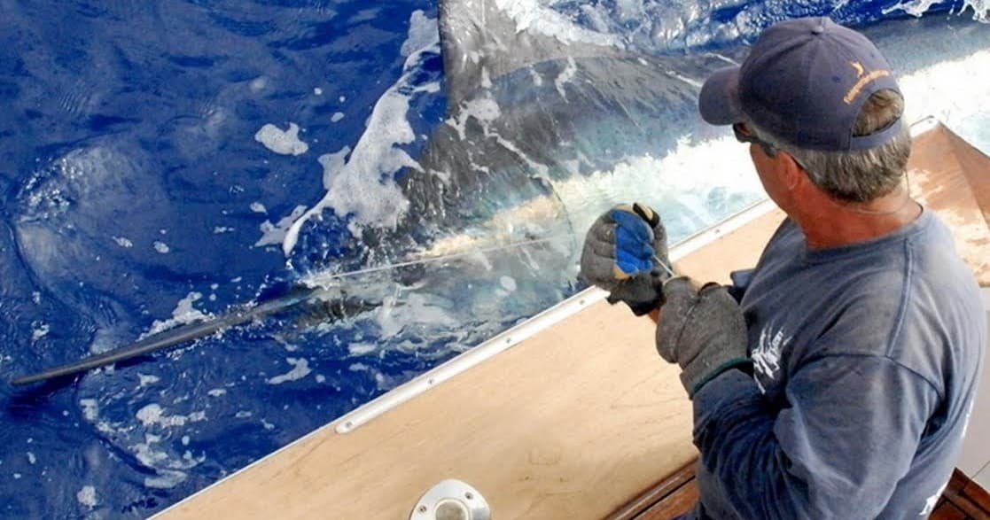 Private Full Day Charter