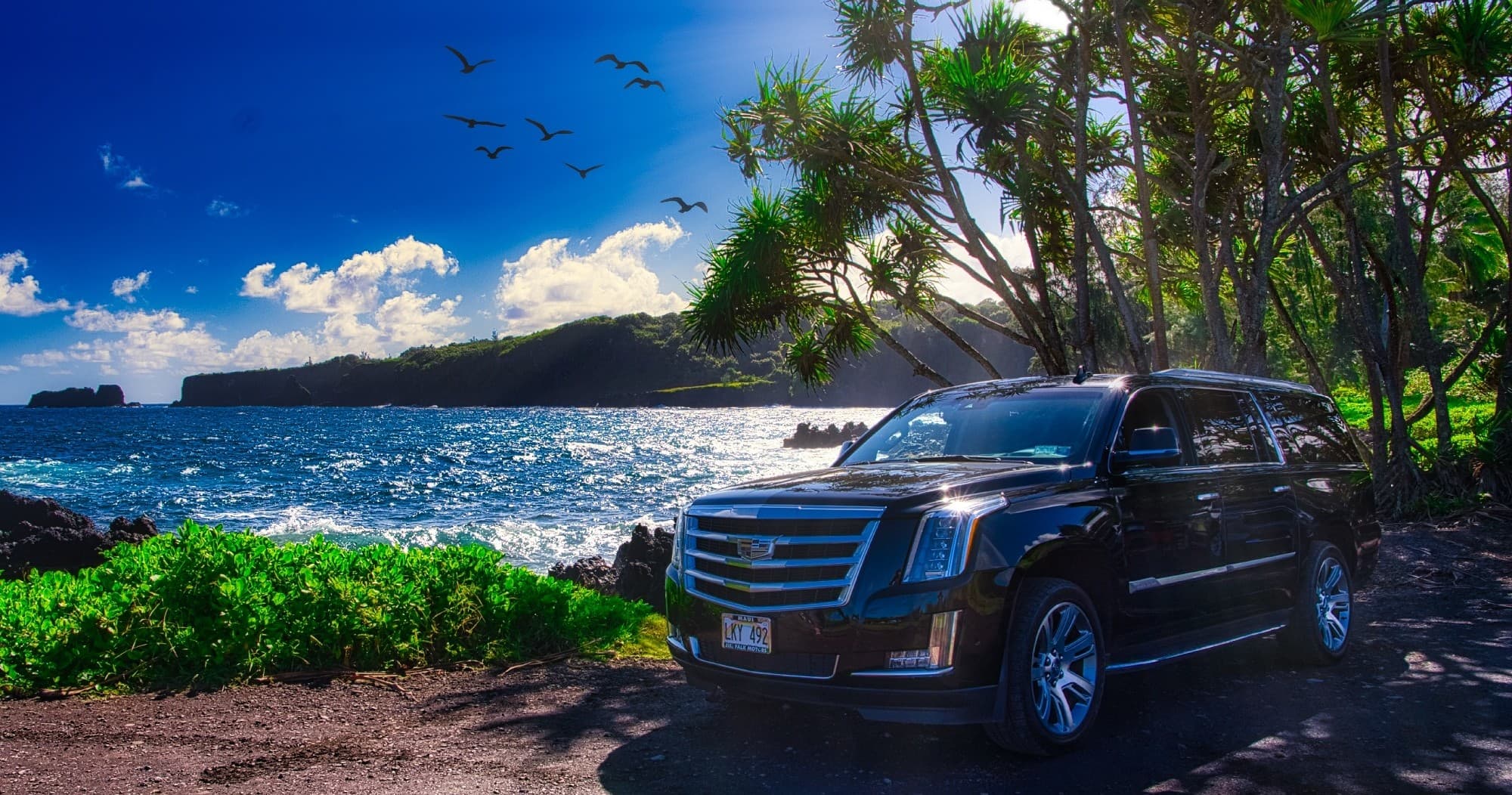 Private Chauffeur - Large Transit