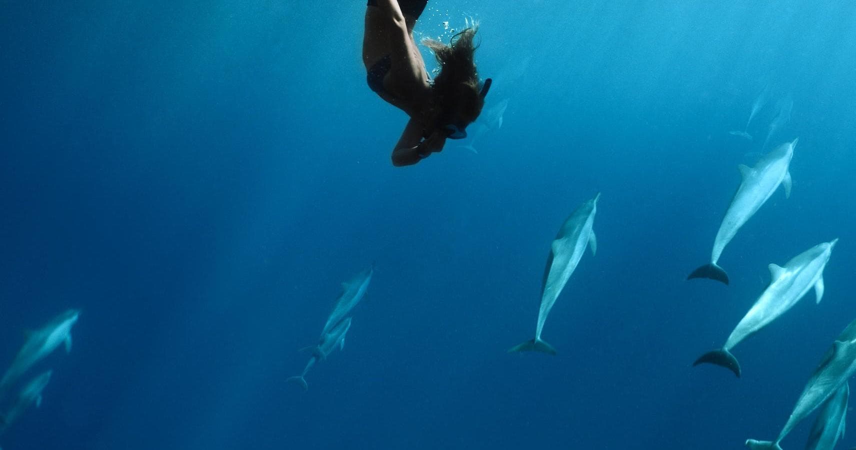 Morning Lana‘i Snorkel Tour