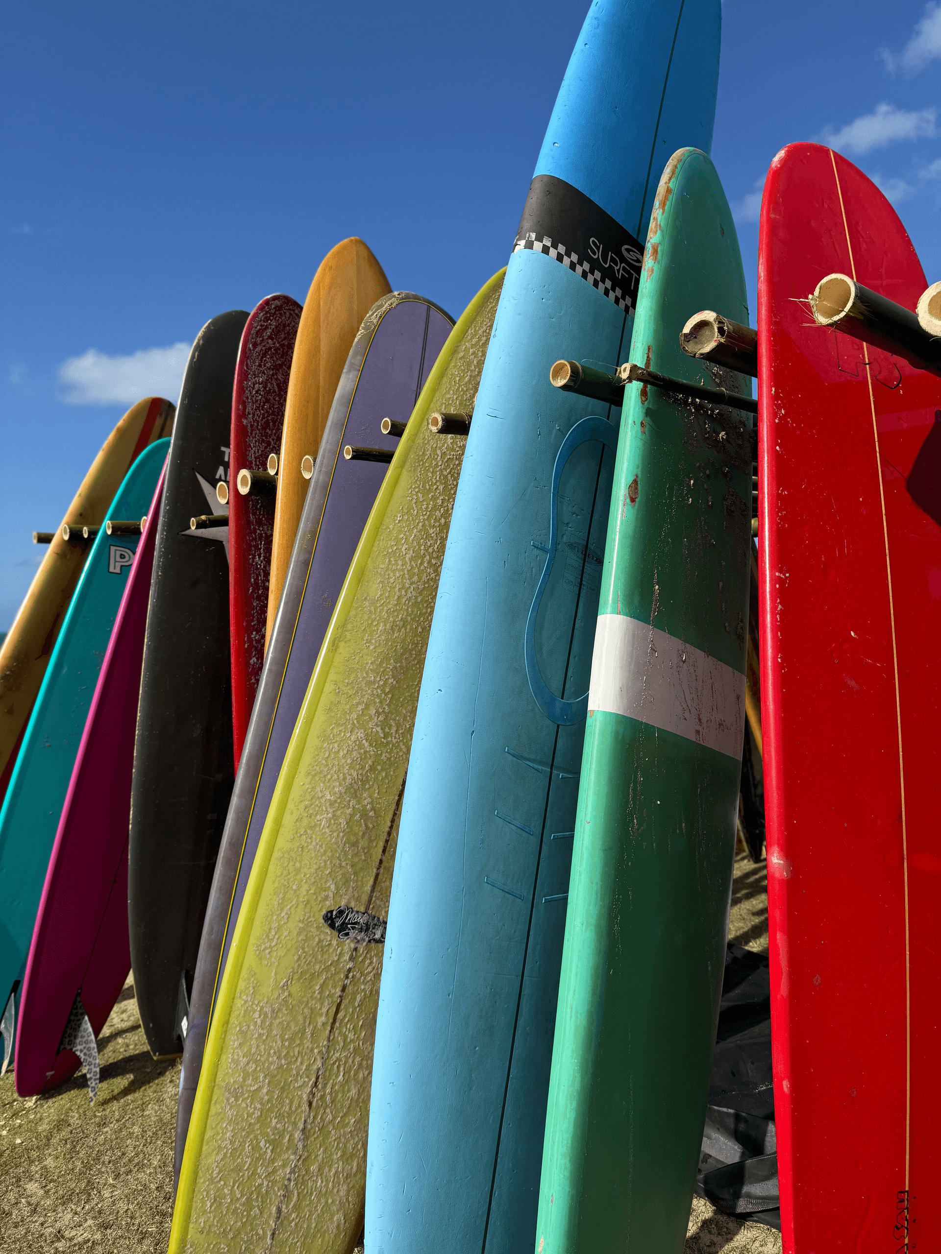 Stand Up Paddleboard Rentals