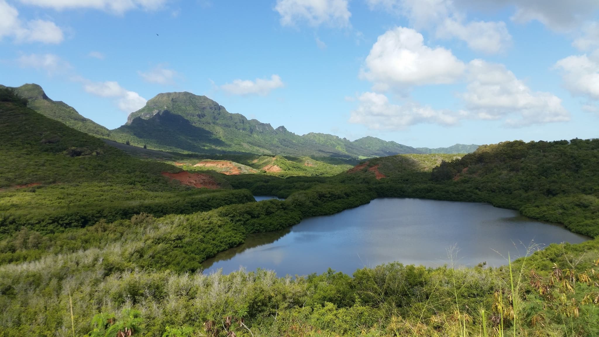Private Waimea Canyon and Kauai's South Shore Tour