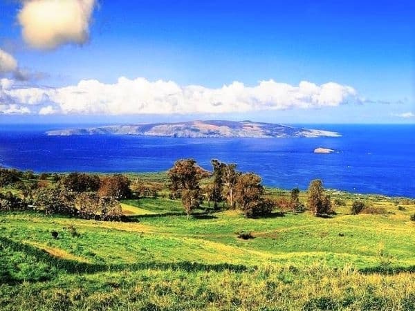 The Maui Island Tour, Private Charter