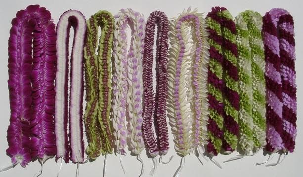 Wholesale 9 Leis-Gift Pack $540.00
