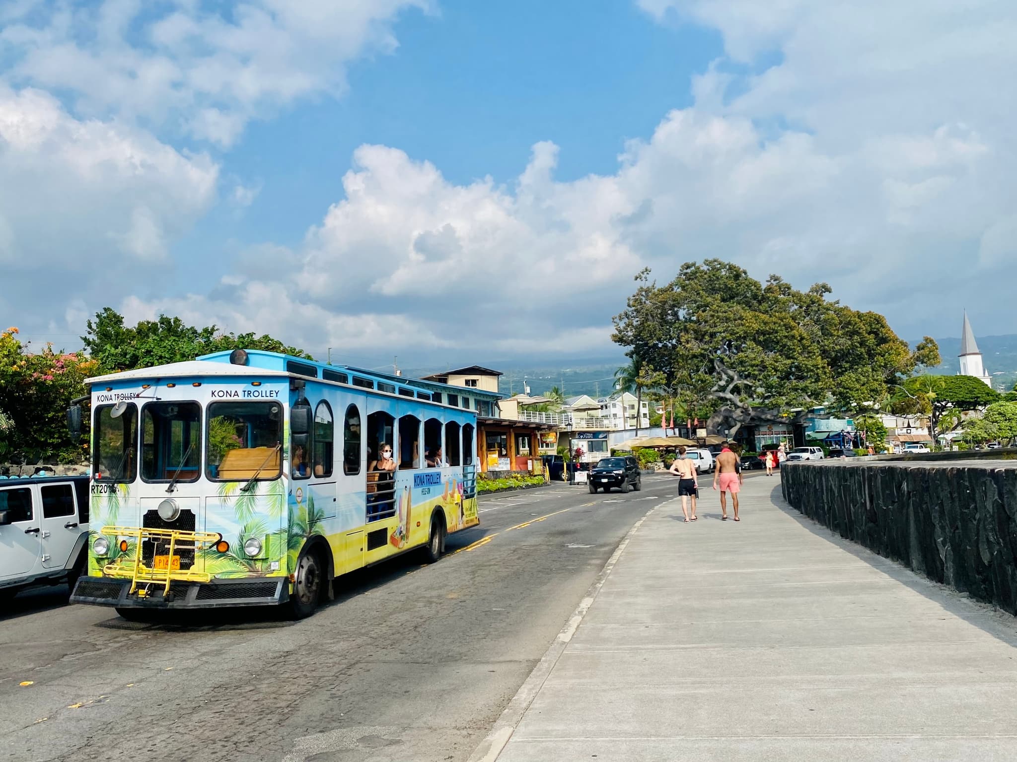 Half Day Kona Sightseeing