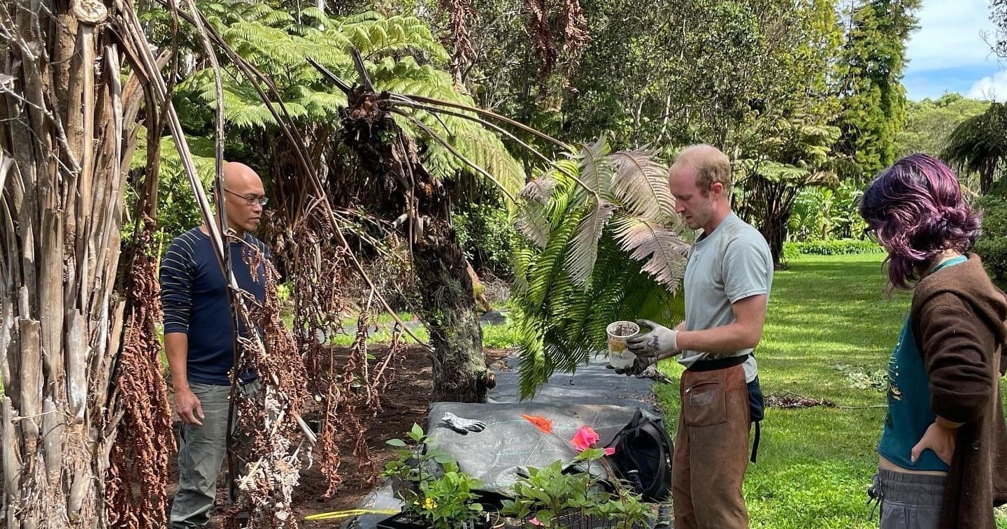 Hawaii Forest Farms Tours