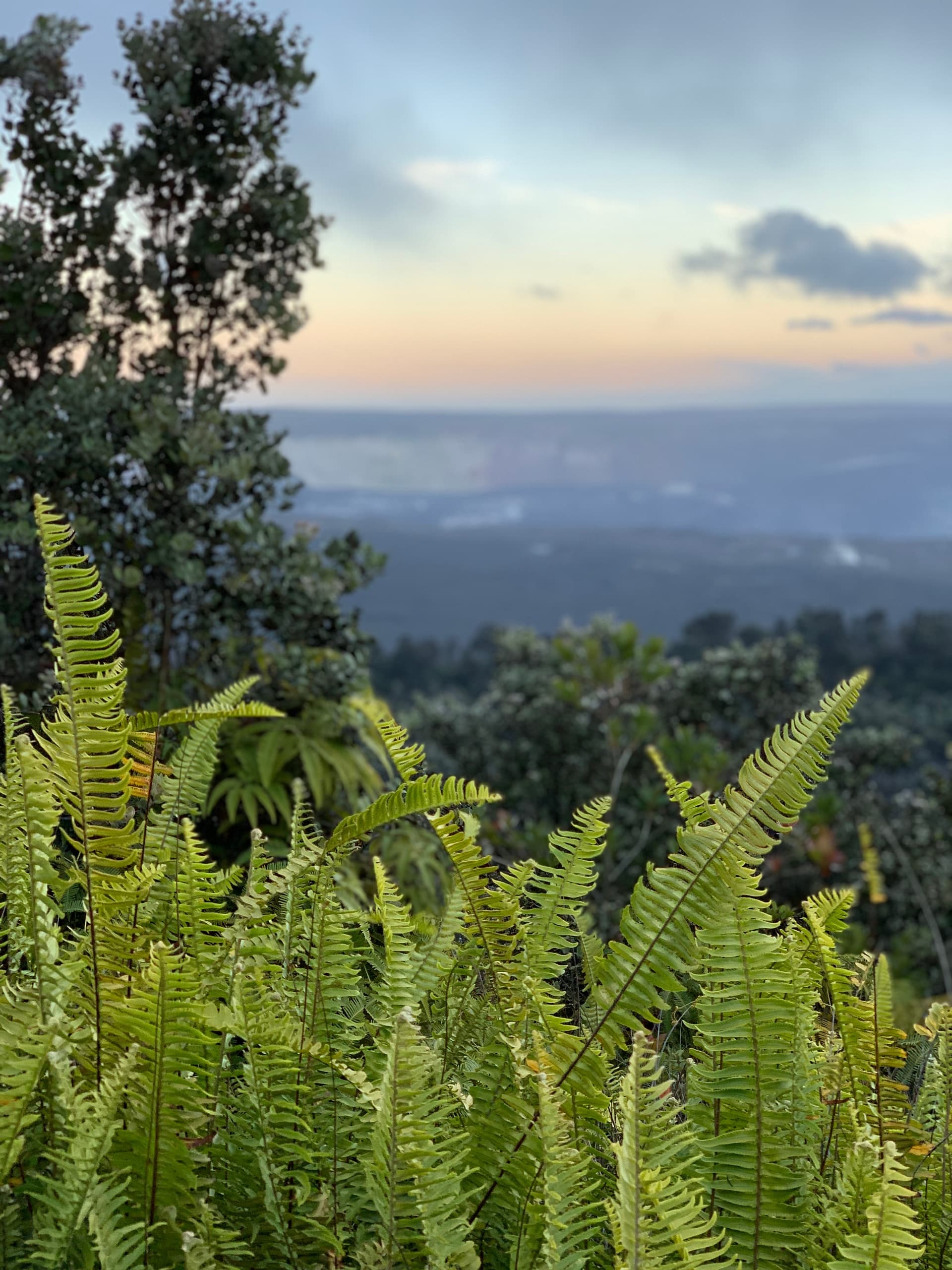 Hawai‘i Volcanoes National Park