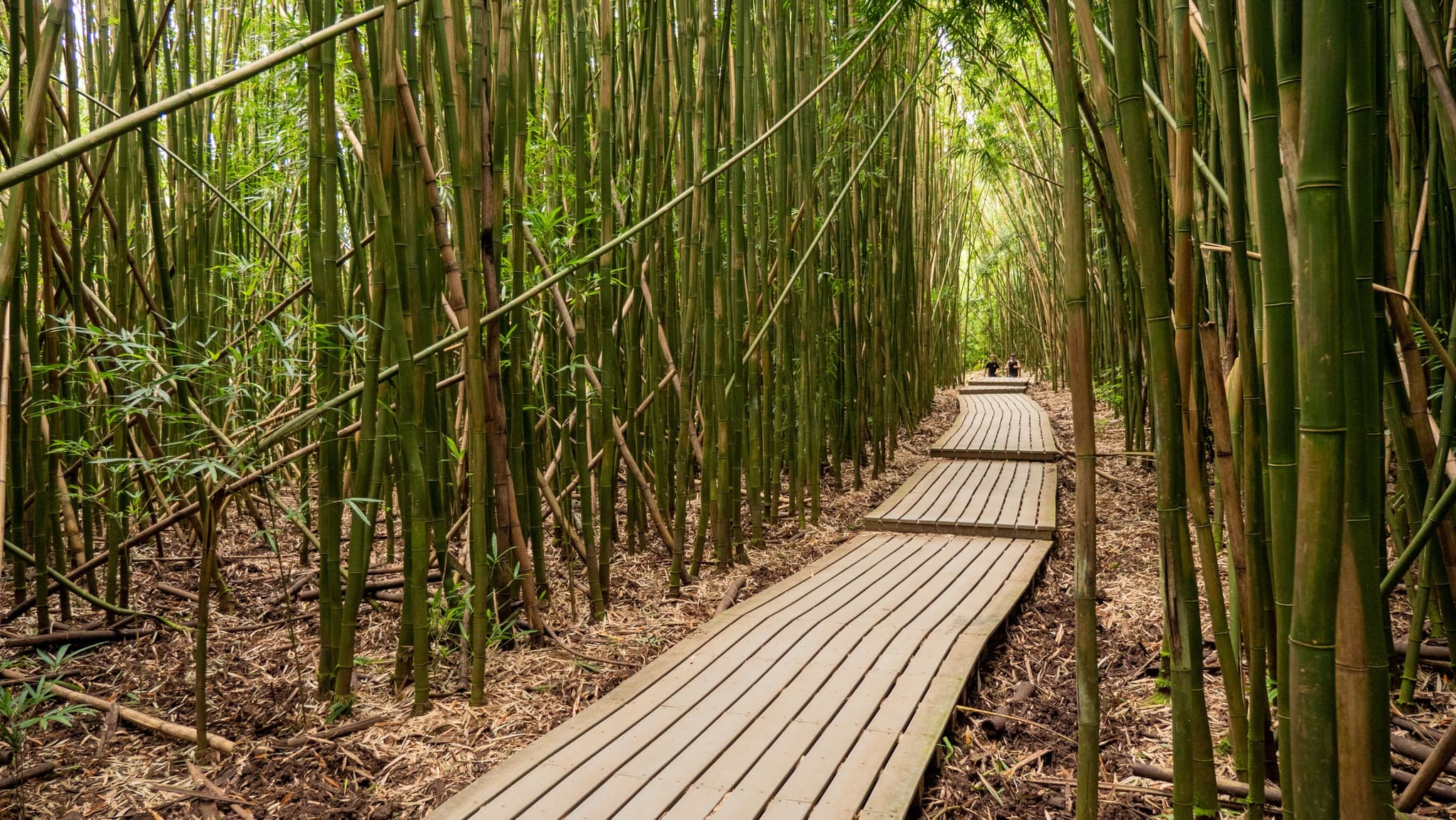 Pipiwai Trail & Haleakala Summit Deluxe Tour