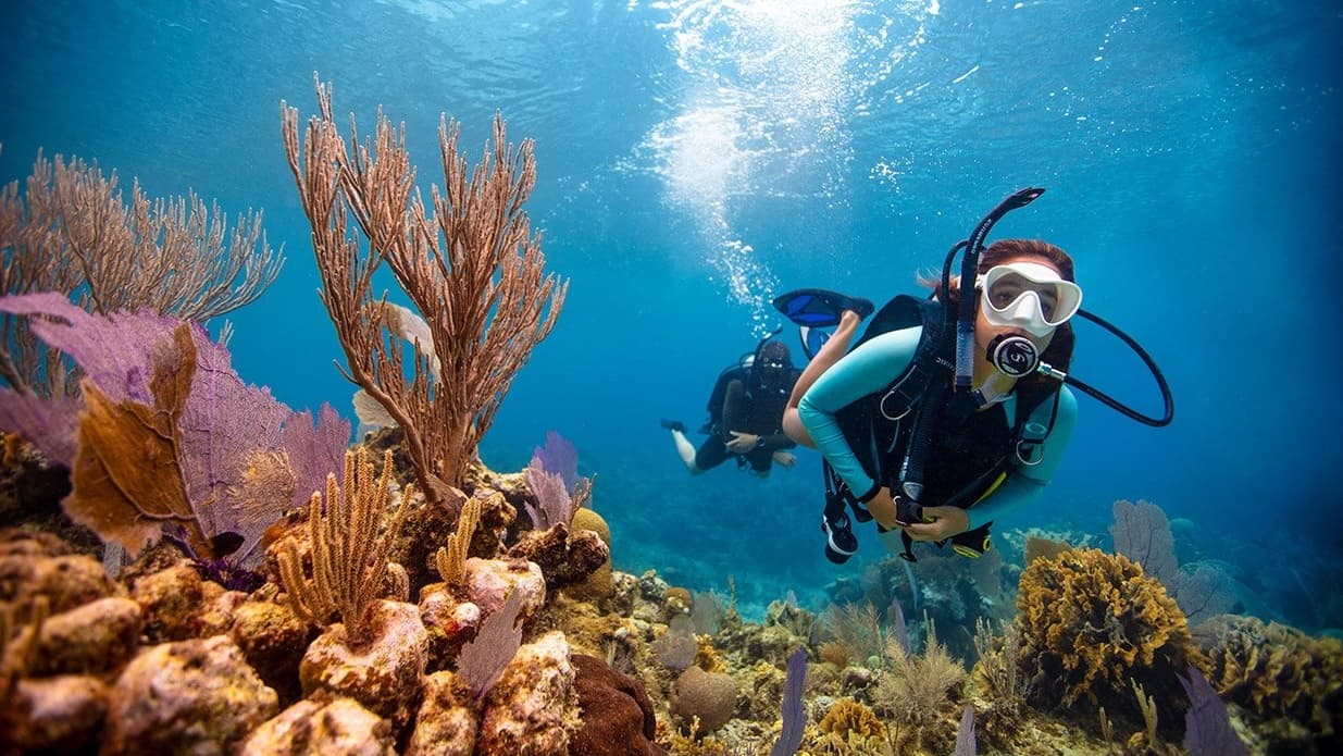 Shipwreck & Double Shallow Dive