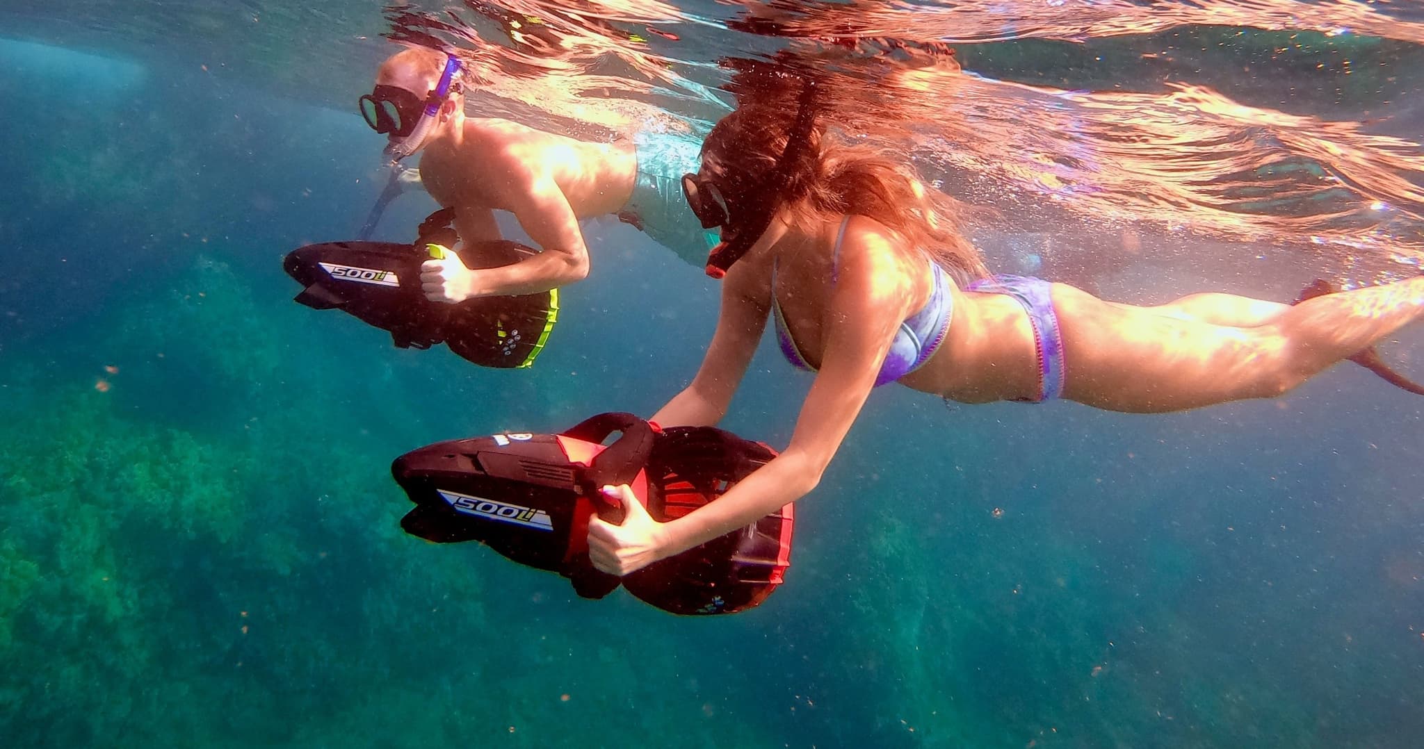 Private Snorkeling Guided Tour - Turtle Town