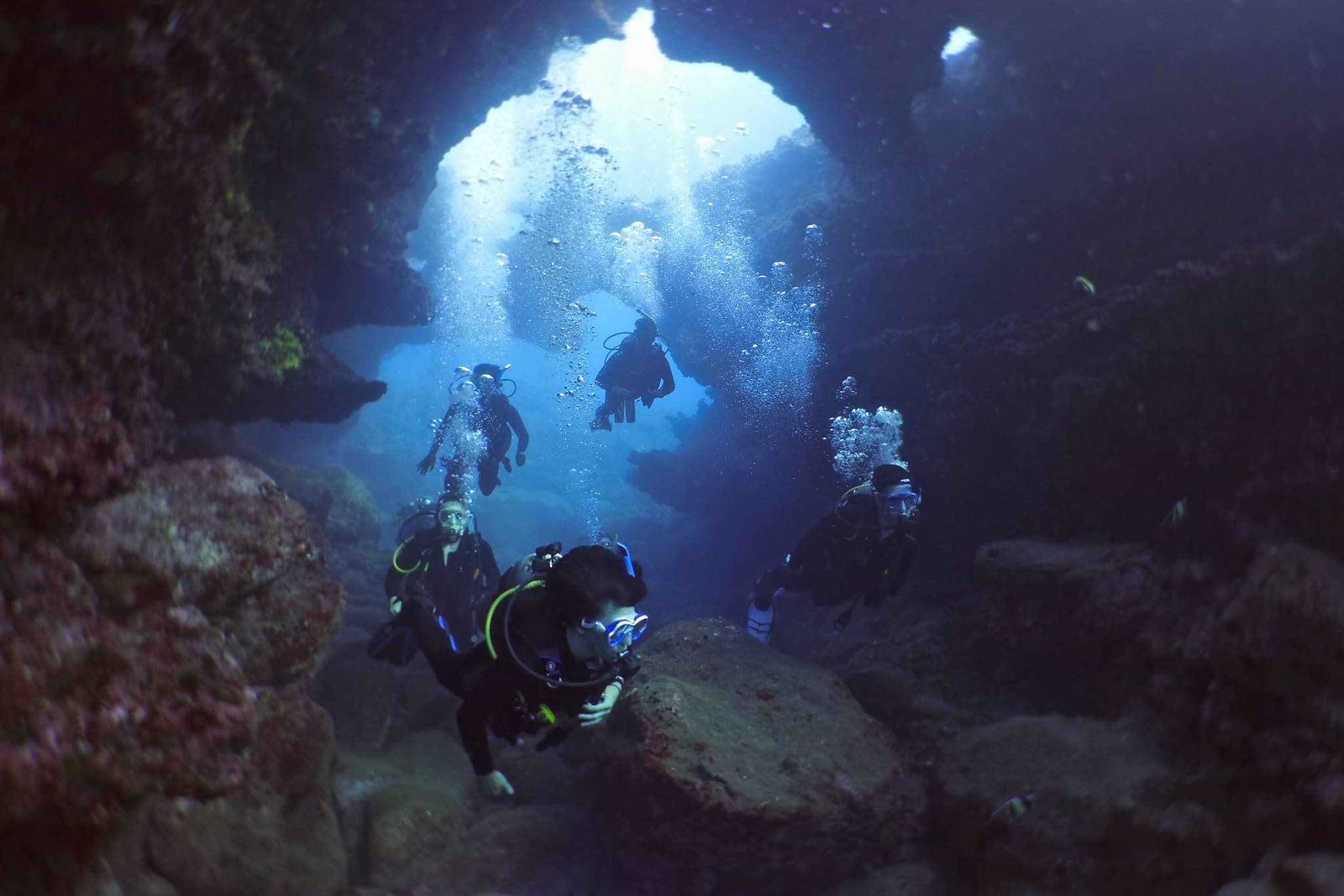 Two Tank Shipwreck and Lava Tube Dives