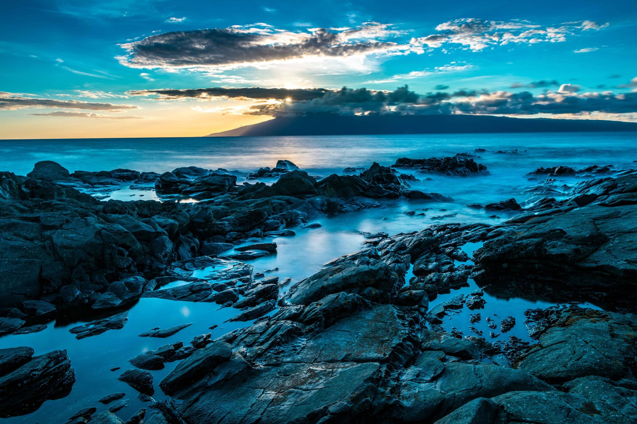 Creatures of the Night