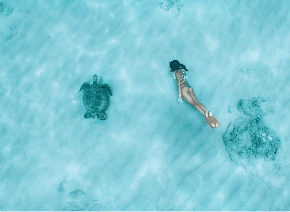 Ko Olina Four Seasons Snorkel