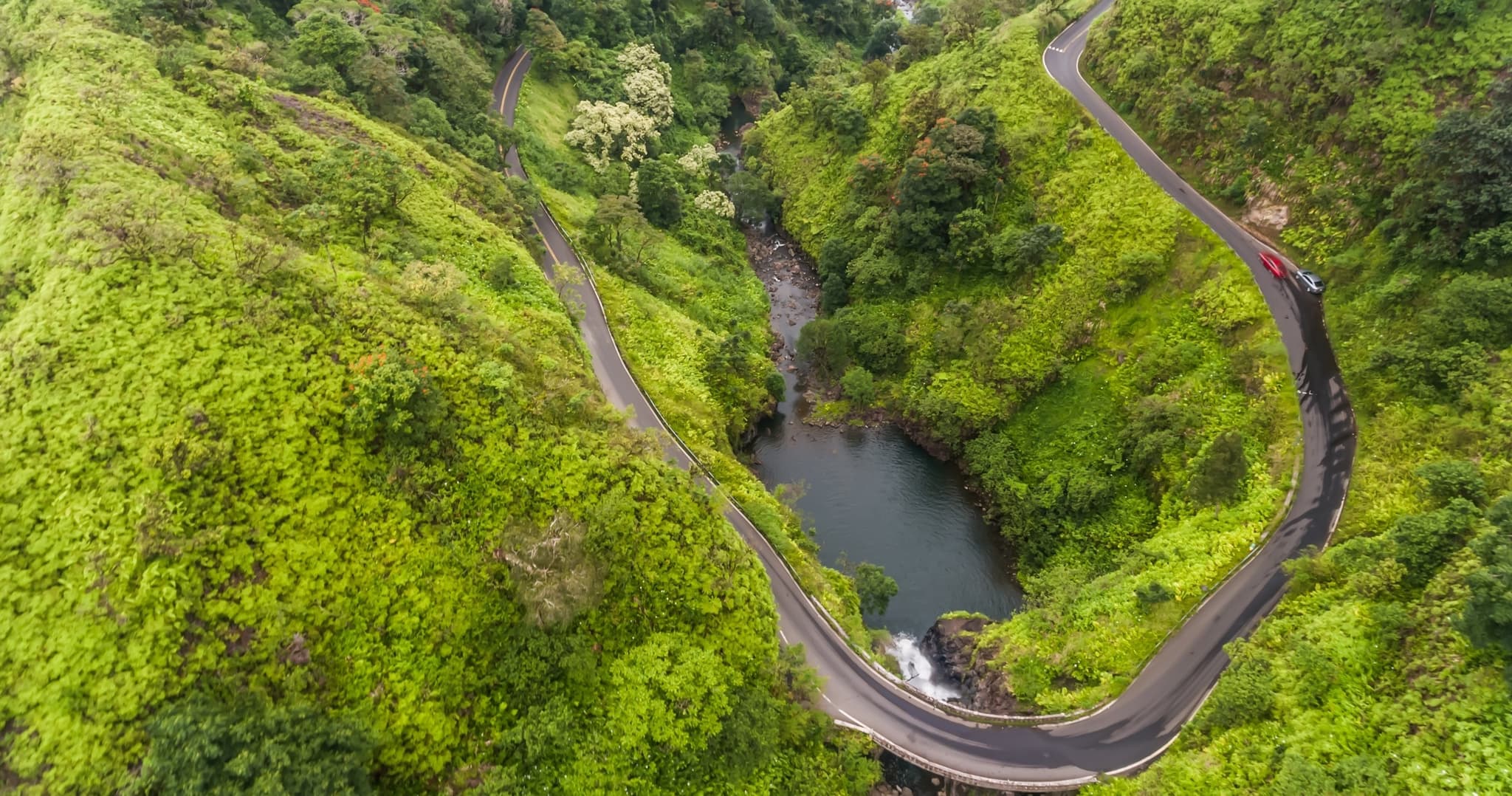 Private Road to Hana VIP Tour Large Group - Full Day