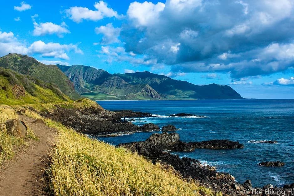 Private Snorkel or Dive Charter