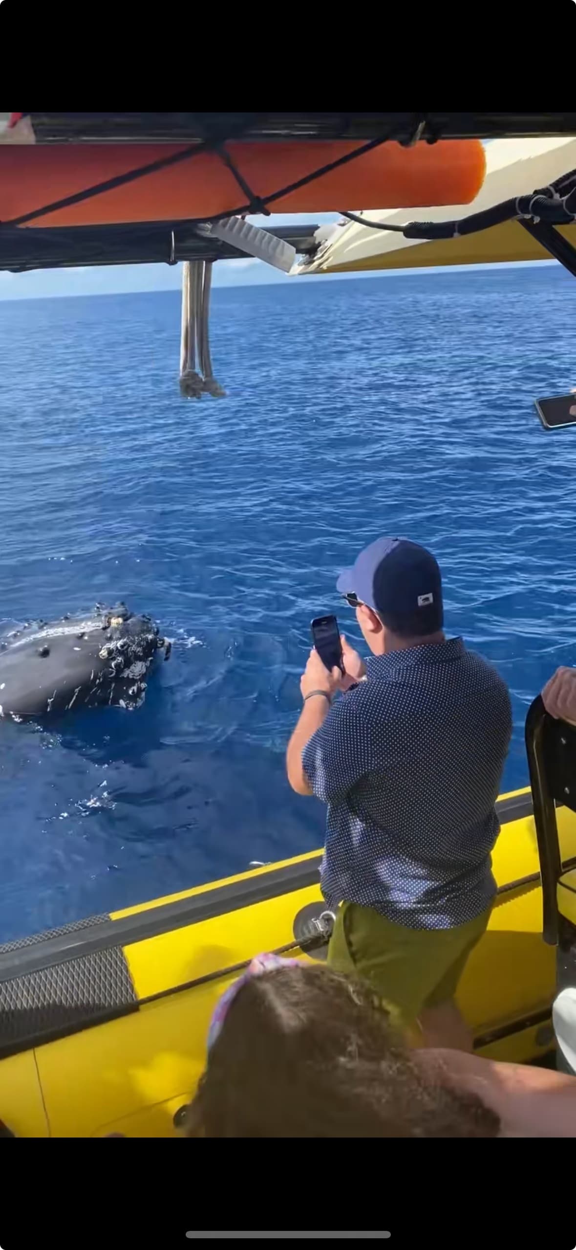 Combination Whale Watch & Snorkel