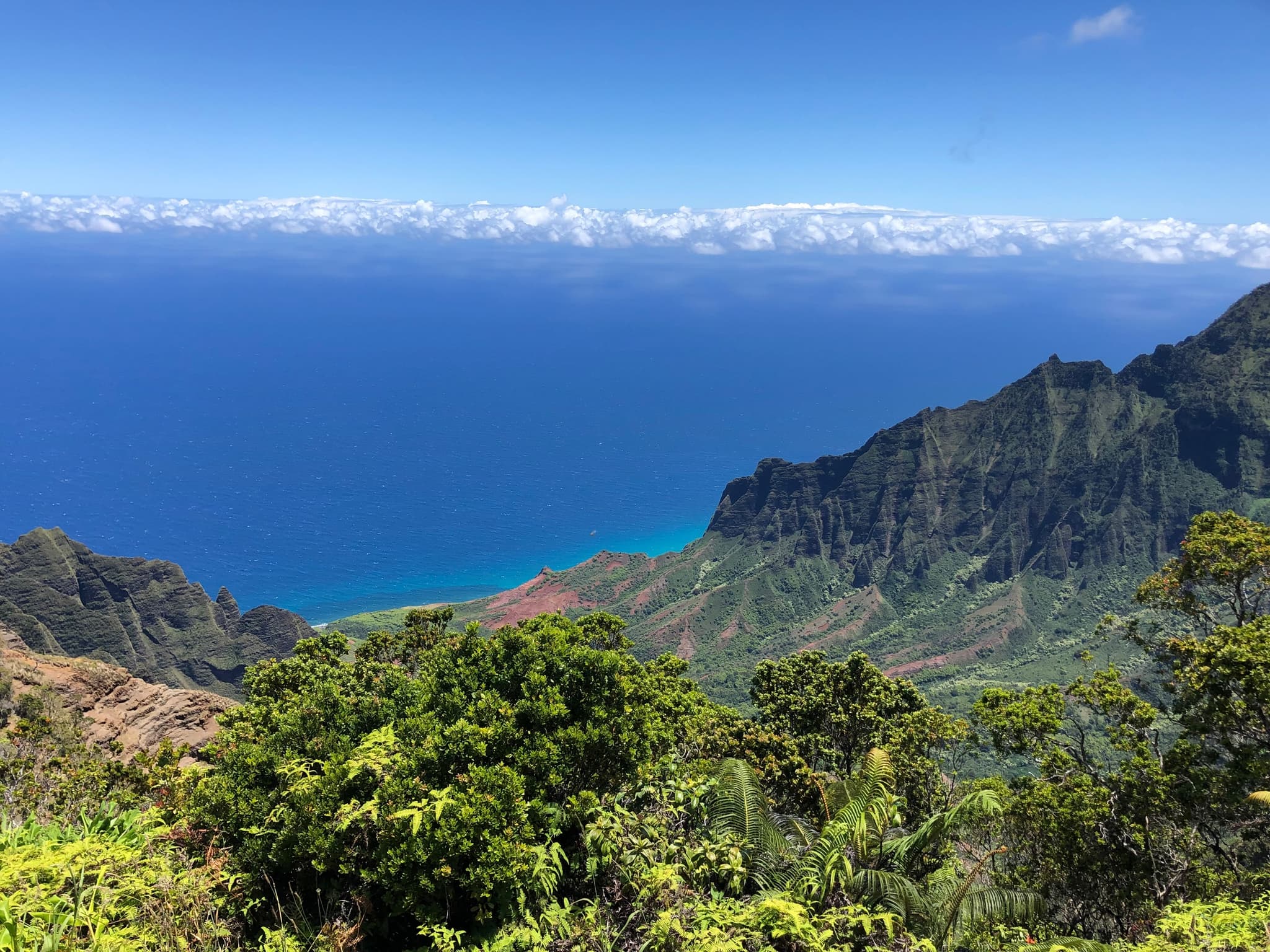 Private Waimea Canyon and Kauai's South Shore Tour