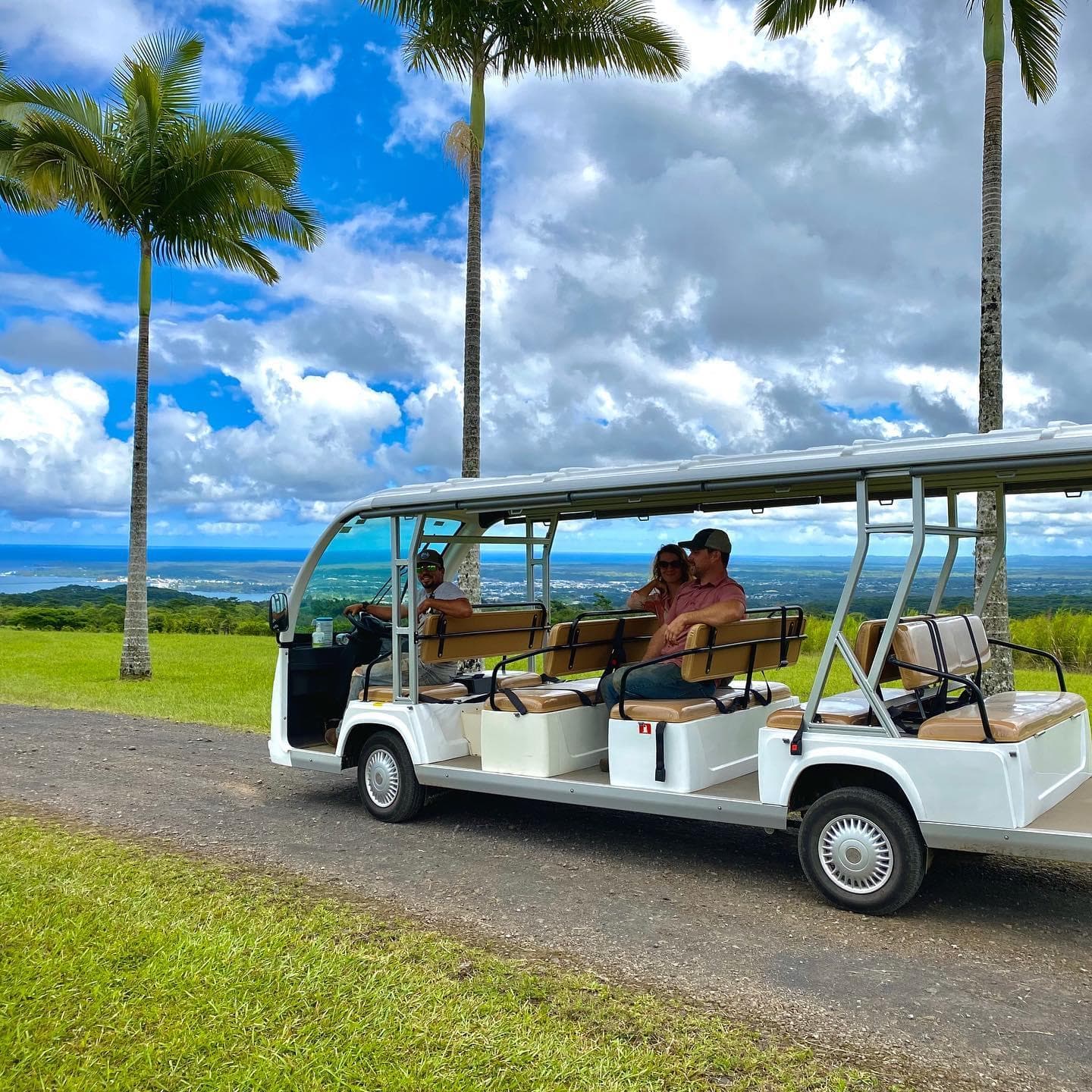 Tree-to-Chocolate Tour