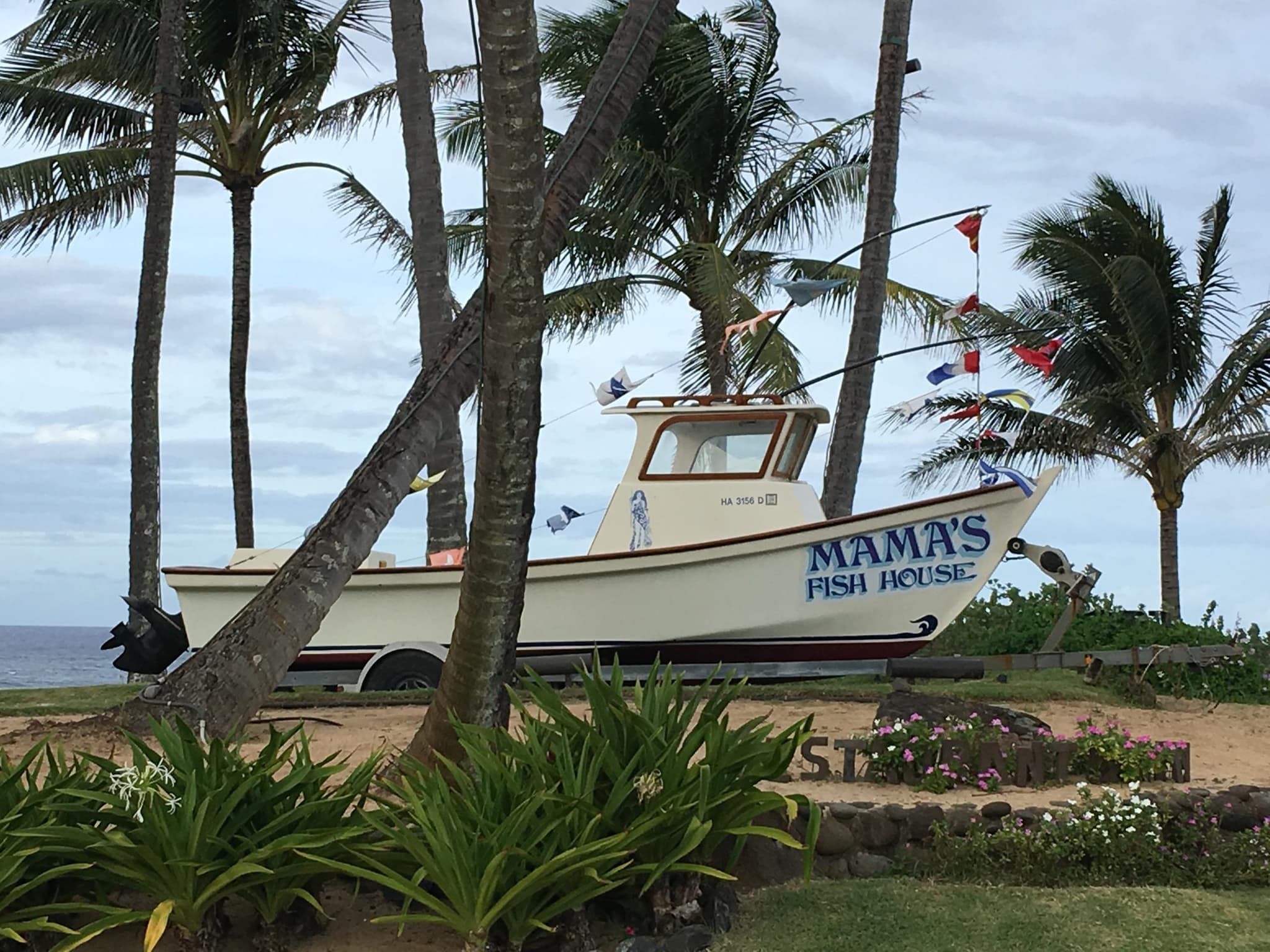 Luxury Shuttle to Mama's Fish House