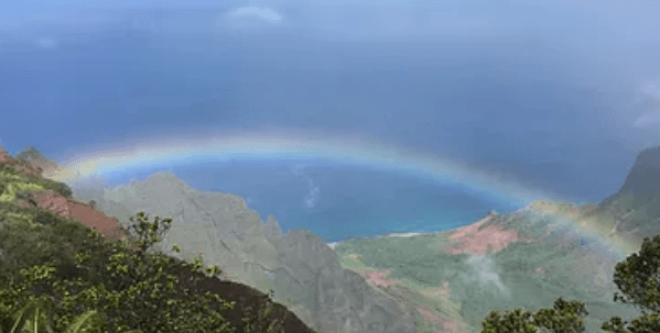 카와이섬 헬기와 1일관광 - 카와이섬 에 계신분들