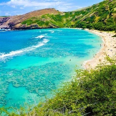 Medium Group Private Tour (5-14 People)