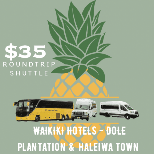 Waikiki - Dole Plantation & Haleiwa Town Shuttle