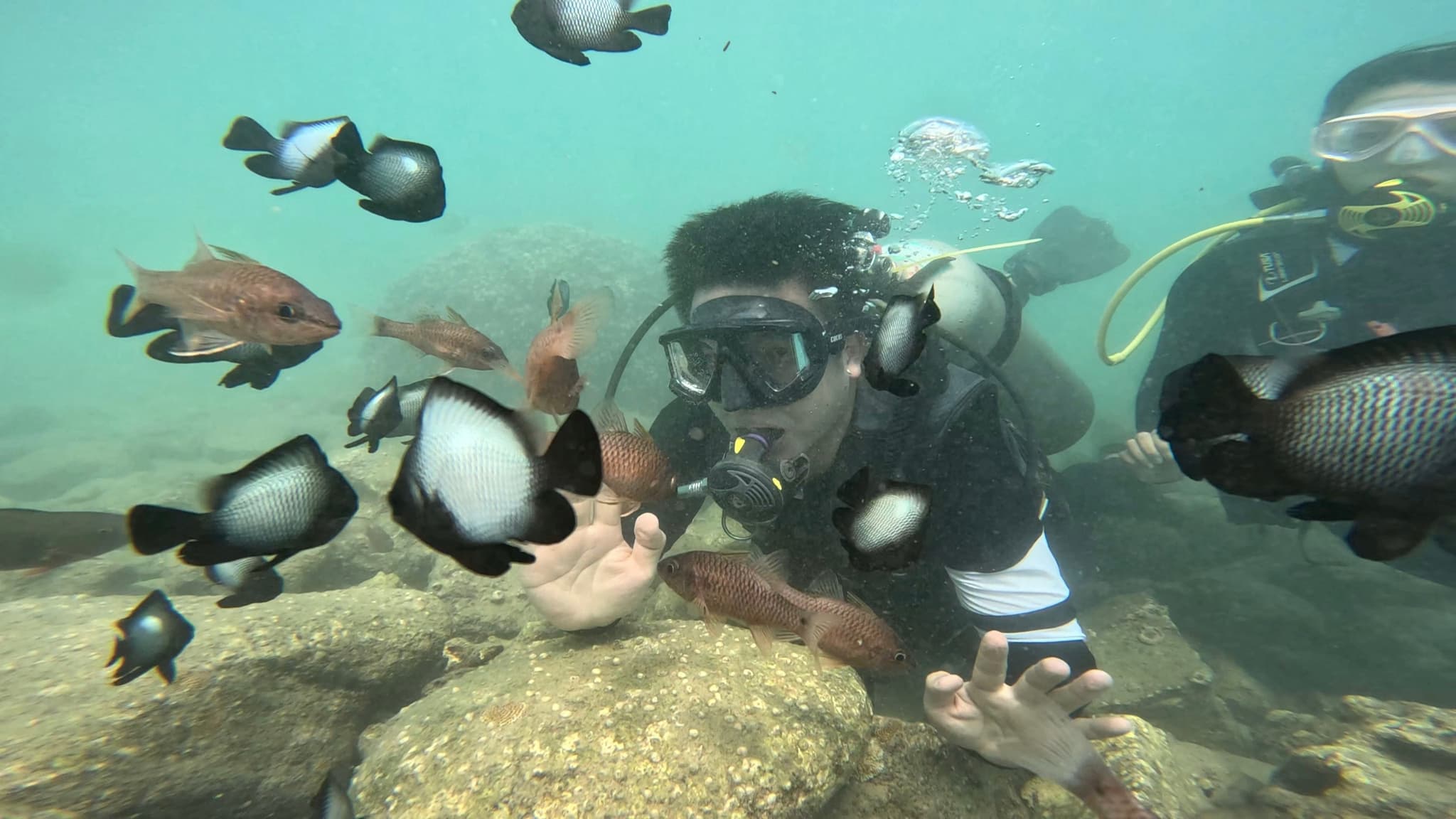 Private Beginner Scuba Diving Tour With Free Videos
