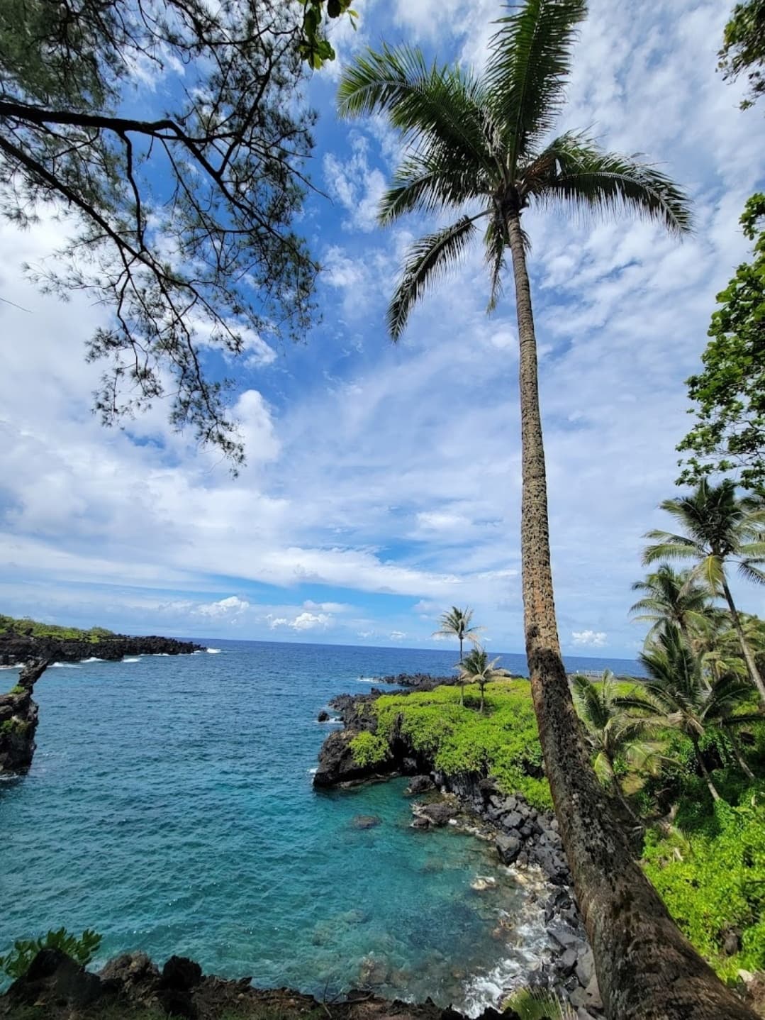 Private Halfway to Hana Tour