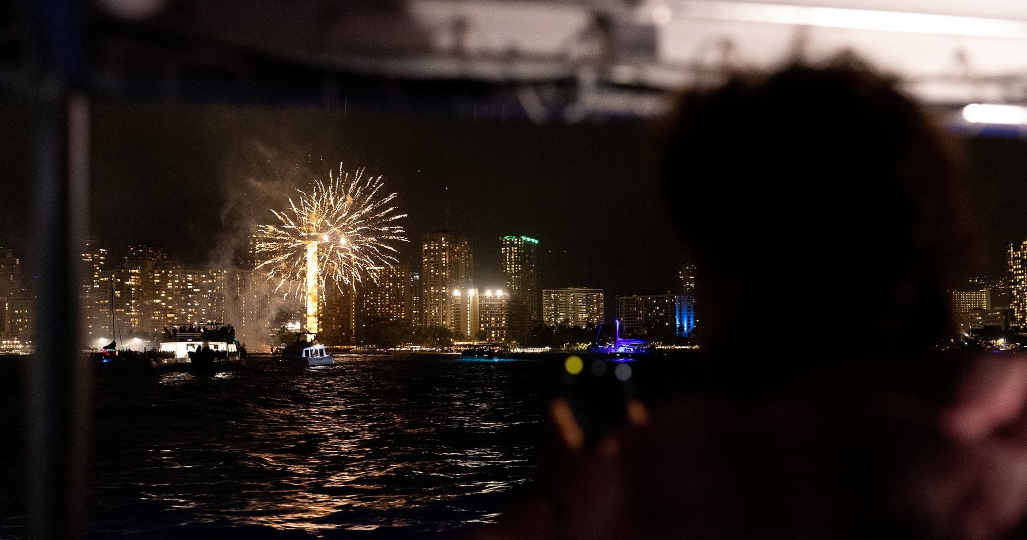 Firework Night Lights Cruise