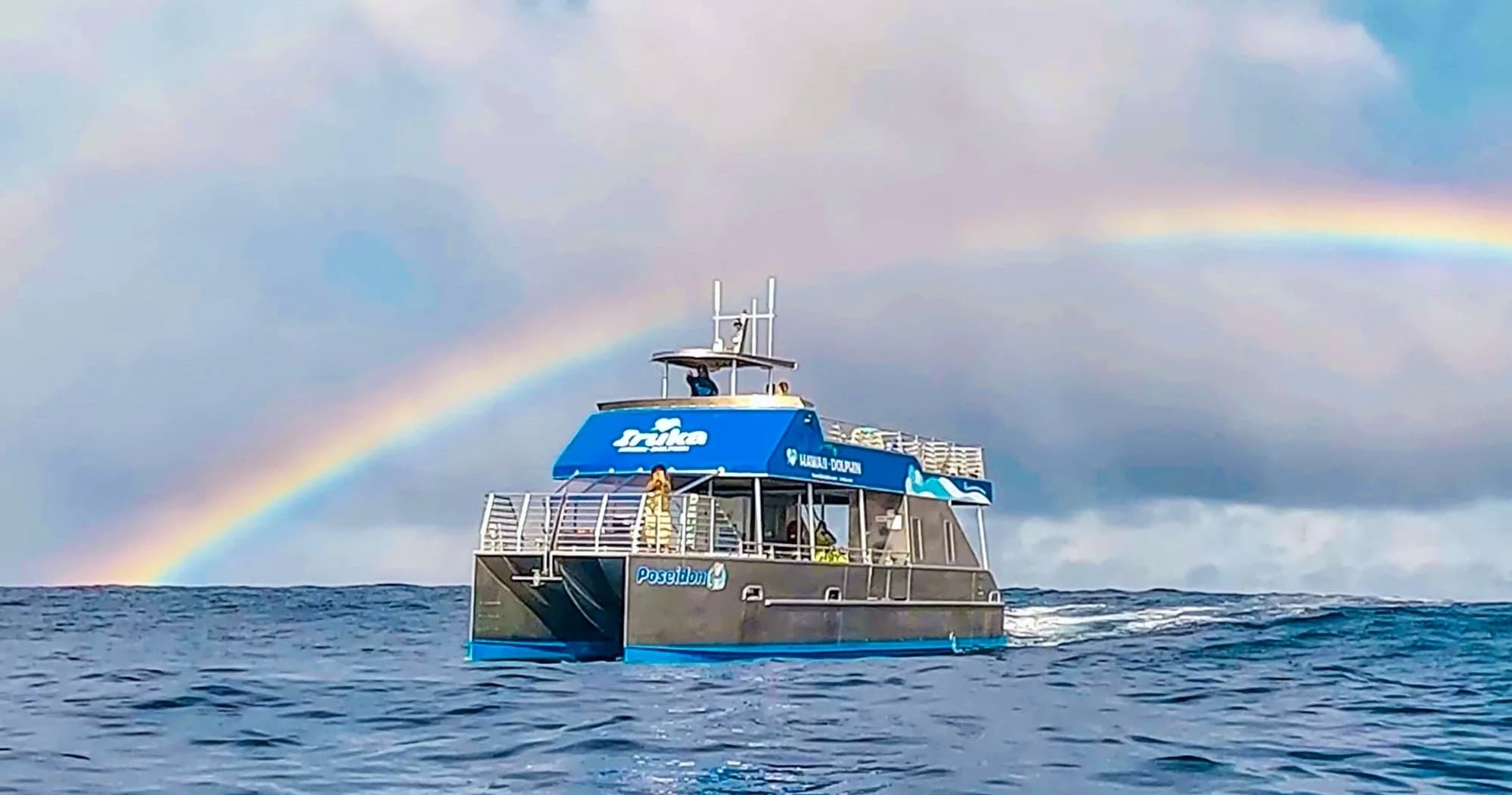 Catamaran Swim with Dolphins
