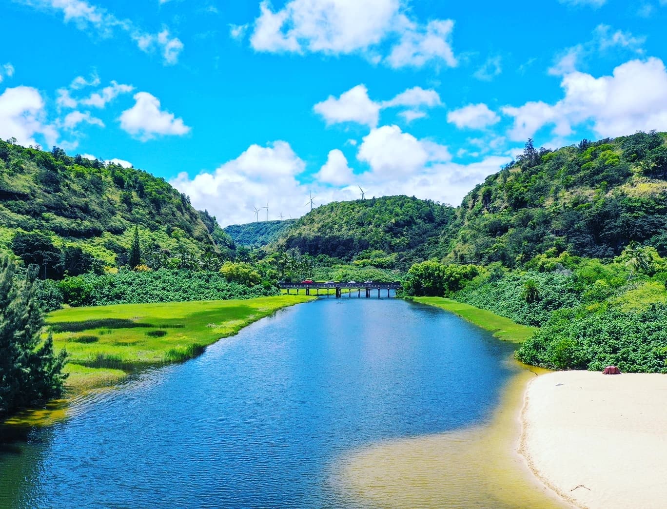 Round trip North Shore Shuttle Waimea Valley Haleiwa