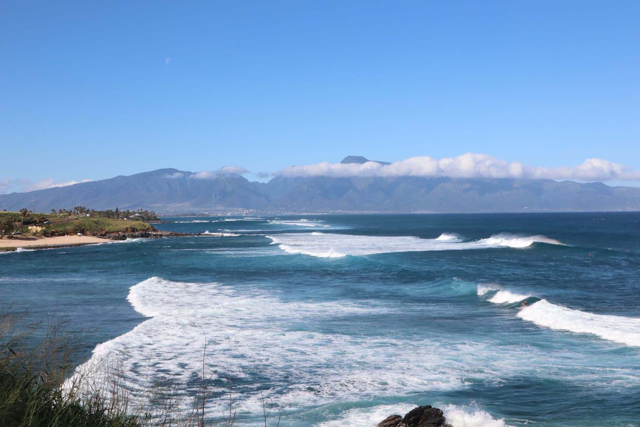 Large Party and Last Minute Bookings