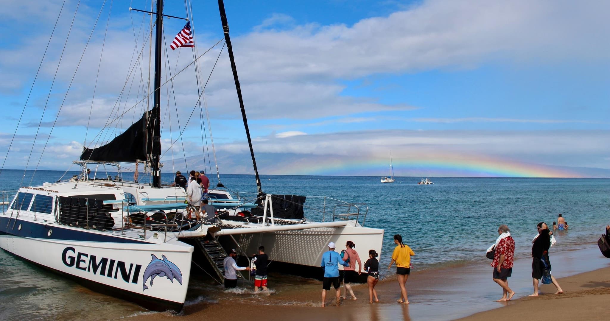 Afternoon Whale Watch